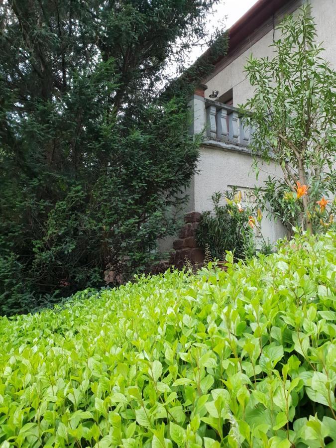 Kasza Villa Balatonfüred Esterno foto