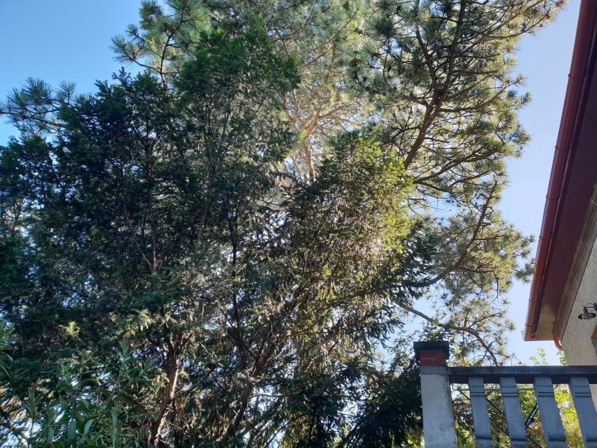 Kasza Villa Balatonfüred Esterno foto