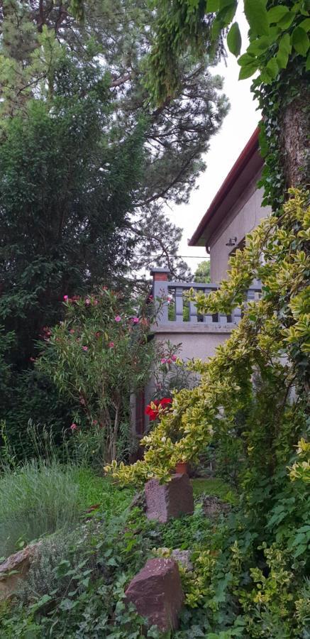 Kasza Villa Balatonfüred Esterno foto