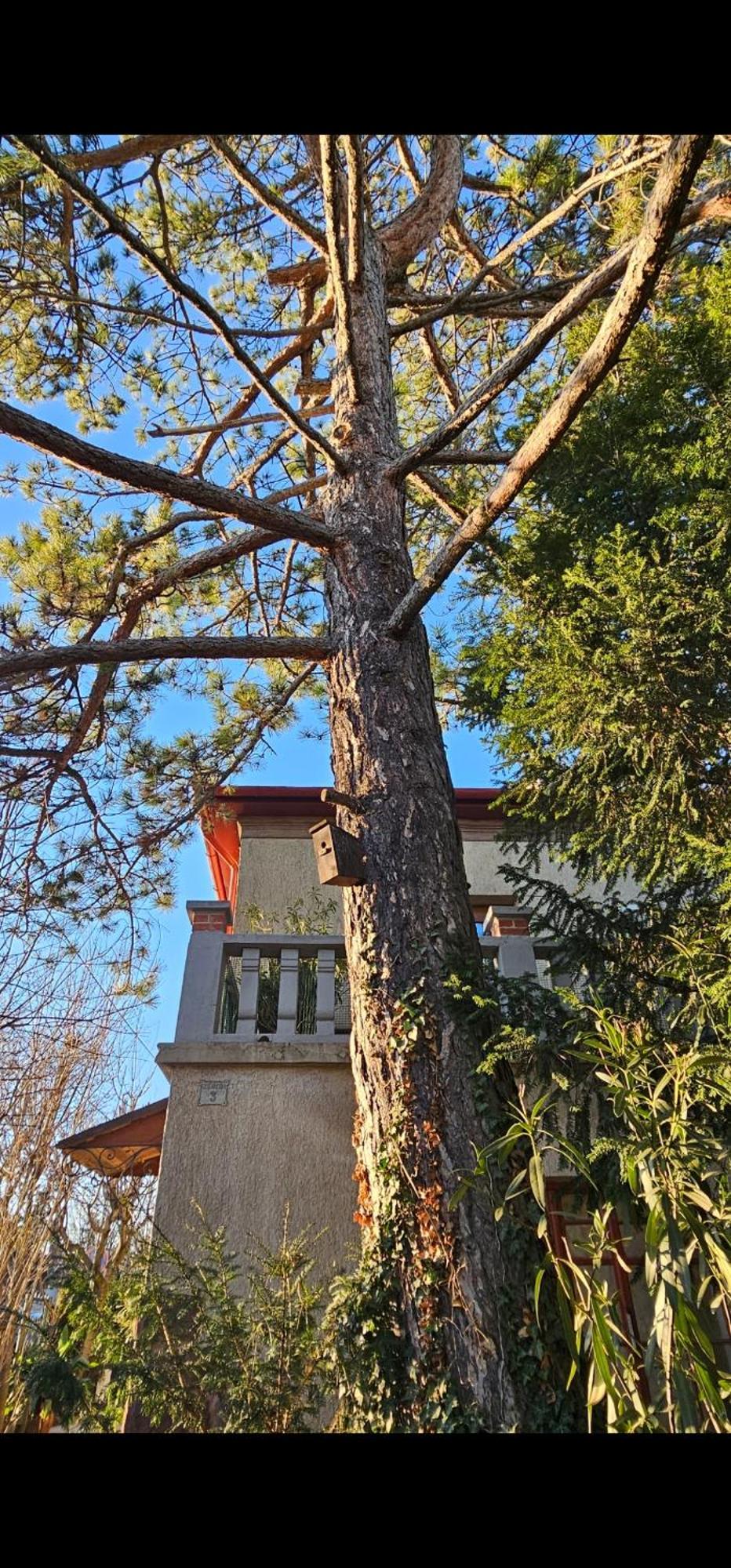 Kasza Villa Balatonfüred Esterno foto
